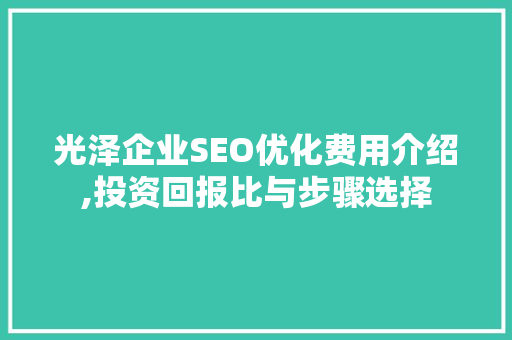 光泽企业SEO优化费用介绍,投资回报比与步骤选择