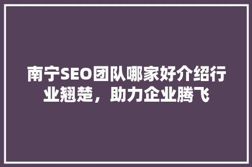 南宁SEO团队哪家好介绍行业翘楚，助力企业腾飞