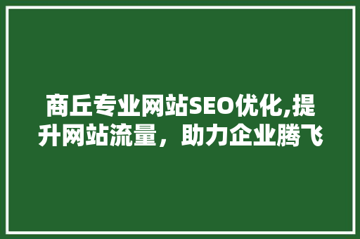 商丘专业网站SEO优化,提升网站流量，助力企业腾飞