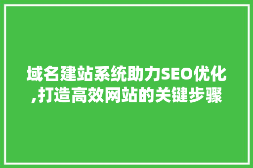 域名建站系统助力SEO优化,打造高效网站的关键步骤