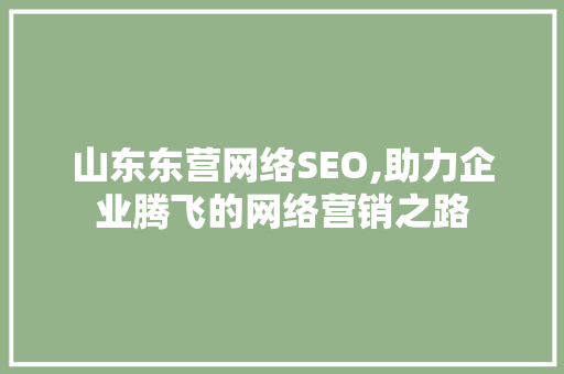 山东东营网络SEO,助力企业腾飞的网络营销之路