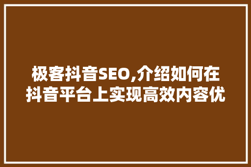 极客抖音SEO,介绍如何在抖音平台上实现高效内容优化
