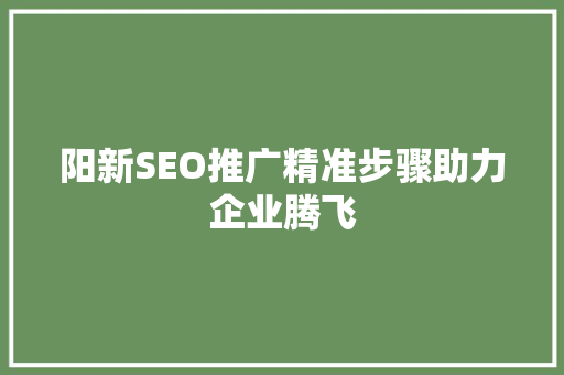阳新SEO推广精准步骤助力企业腾飞  第1张