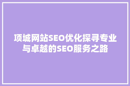 项城网站SEO优化探寻专业与卓越的SEO服务之路
