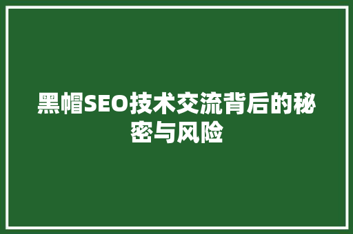黑帽SEO技术交流背后的秘密与风险