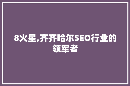 8火星,齐齐哈尔SEO行业的领军者