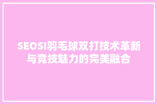 SEOSI羽毛球双打技术革新与竞技魅力的完美融合