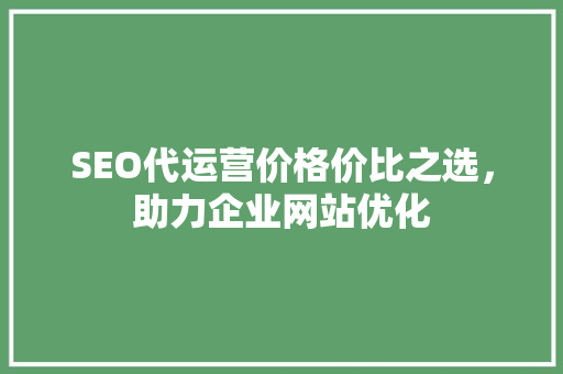 SEO代运营价格价比之选，助力企业网站优化