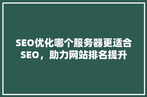SEO优化哪个服务器更适合SEO，助力网站排名提升  第1张