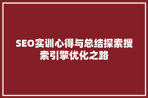 SEO实训心得与总结探索搜索引擎优化之路