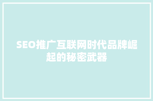 SEO推广互联网时代品牌崛起的秘密武器