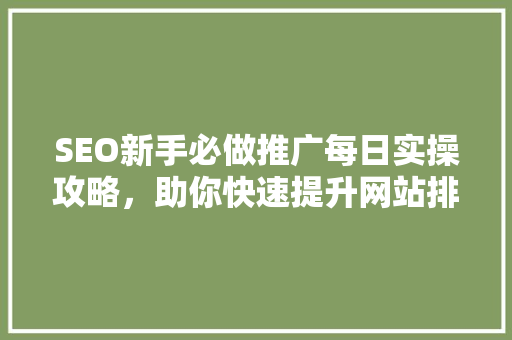 SEO新手必做推广每日实操攻略，助你快速提升网站排名