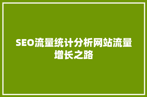 SEO流量统计分析网站流量增长之路