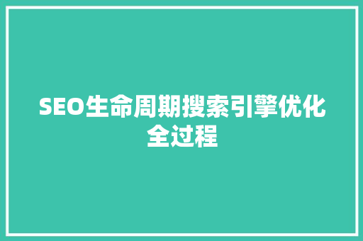 SEO生命周期搜索引擎优化全过程
