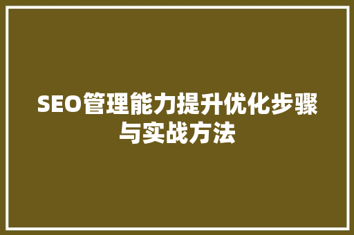 SEO管理能力提升优化步骤与实战方法  第1张