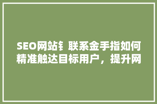 SEO网站钅联系金手指如何精准触达目标用户，提升网站排名