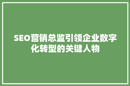 SEO营销总监引领企业数字化转型的关键人物