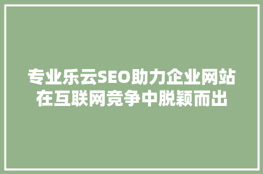 专业乐云SEO助力企业网站在互联网竞争中脱颖而出  第1张