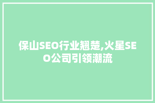 保山SEO行业翘楚,火星SEO公司引领潮流