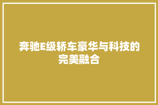 奔驰E级轿车豪华与科技的完美融合  第1张