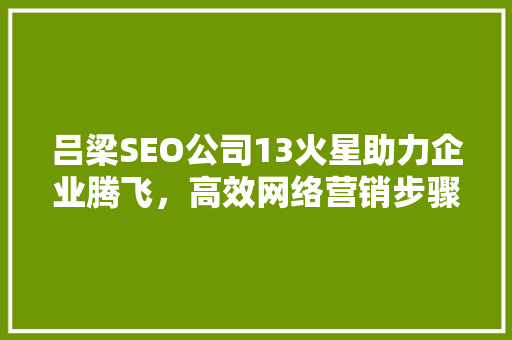 吕梁SEO公司13火星助力企业腾飞，高效网络营销步骤