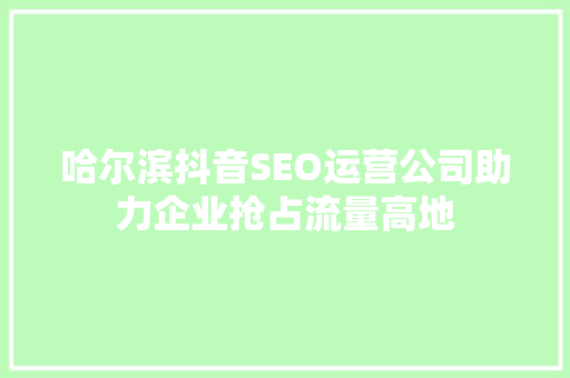 哈尔滨抖音SEO运营公司助力企业抢占流量高地
