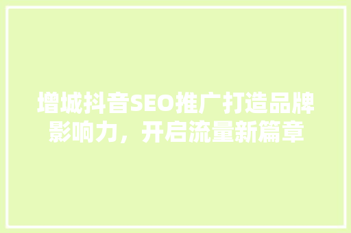 增城抖音SEO推广打造品牌影响力，开启流量新篇章