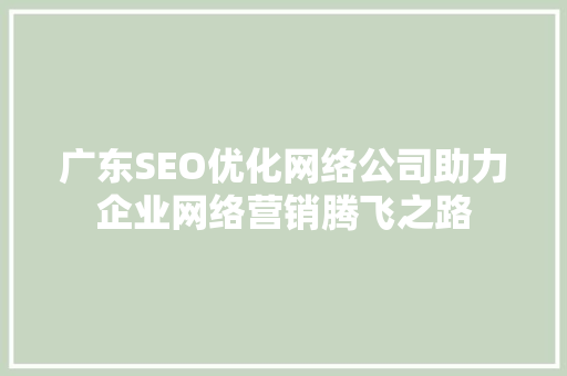 广东SEO优化网络公司助力企业网络营销腾飞之路