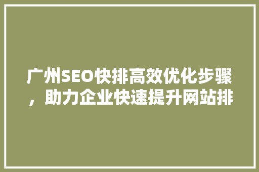 广州SEO快排高效优化步骤，助力企业快速提升网站排名