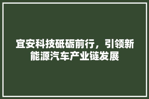 宜安科技砥砺前行，引领新能源汽车产业链发展