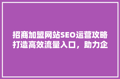 招商加盟网站SEO运营攻略打造高效流量入口，助力企业腾飞