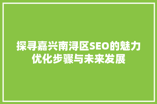 探寻嘉兴南浔区SEO的魅力优化步骤与未来发展