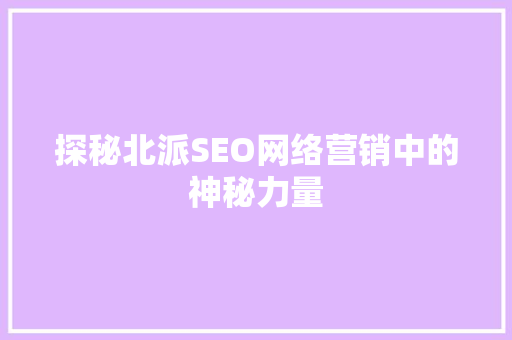 探秘北派SEO网络营销中的神秘力量