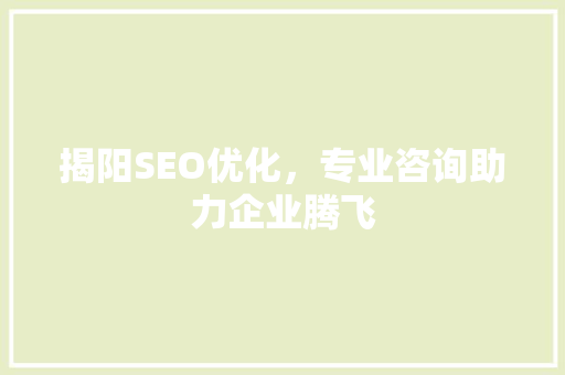 揭阳SEO优化，专业咨询助力企业腾飞