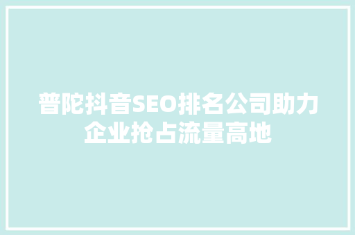 普陀抖音SEO排名公司助力企业抢占流量高地