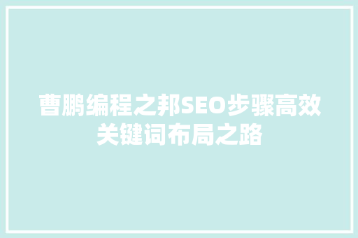 曹鹏编程之邦SEO步骤高效关键词布局之路