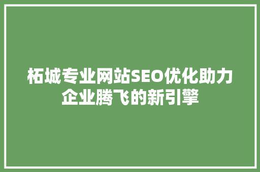 柘城专业网站SEO优化助力企业腾飞的新引擎