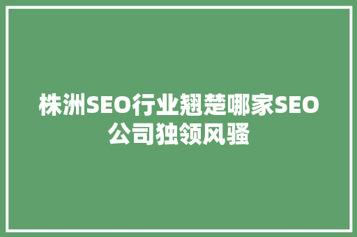 株洲SEO行业翘楚哪家SEO公司独领风骚
