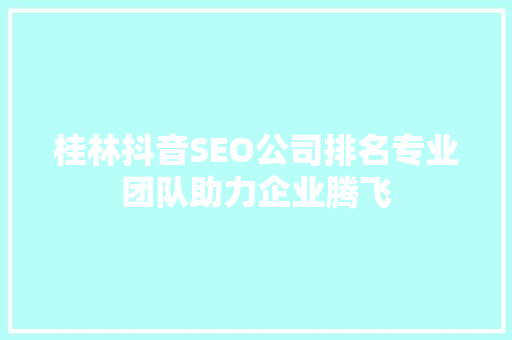 桂林抖音SEO公司排名专业团队助力企业腾飞