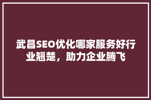 武昌SEO优化哪家服务好行业翘楚，助力企业腾飞  第1张