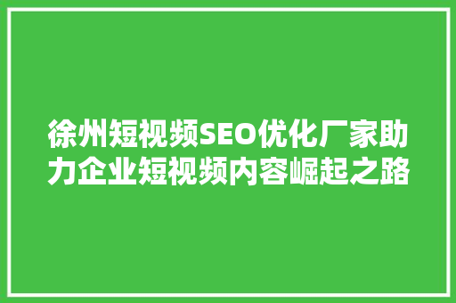 徐州短视频SEO优化厂家助力企业短视频内容崛起之路