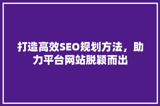 打造高效SEO规划方法，助力平台网站脱颖而出