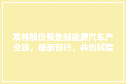 双林股份聚焦新能源汽车产业链，砥砺前行，共创辉煌
