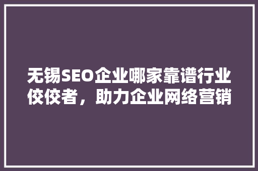 无锡SEO企业哪家靠谱行业佼佼者，助力企业网络营销腾飞
