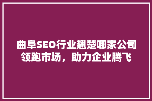 曲阜SEO行业翘楚哪家公司领跑市场，助力企业腾飞