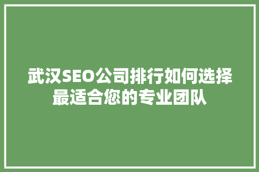 武汉SEO公司排行如何选择最适合您的专业团队  第1张