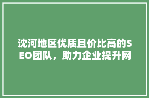 沈河地区优质且价比高的SEO团队，助力企业提升网络竞争力
