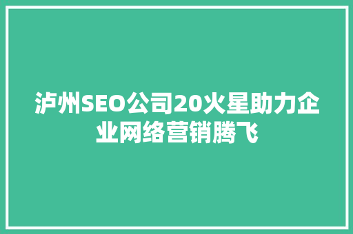 泸州SEO公司20火星助力企业网络营销腾飞
