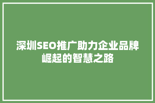 深圳SEO推广助力企业品牌崛起的智慧之路