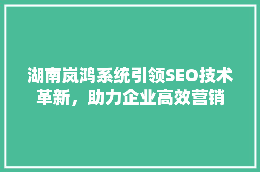 湖南岚鸿系统引领SEO技术革新，助力企业高效营销